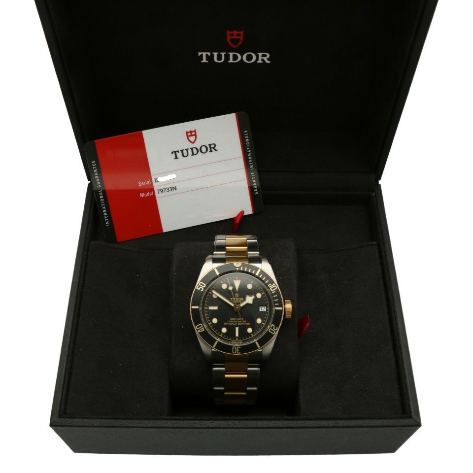 Tudor Black Bay S&G Heritage 79733N