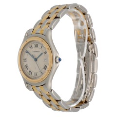 Cartier Panthere Cougar Goud/Staal